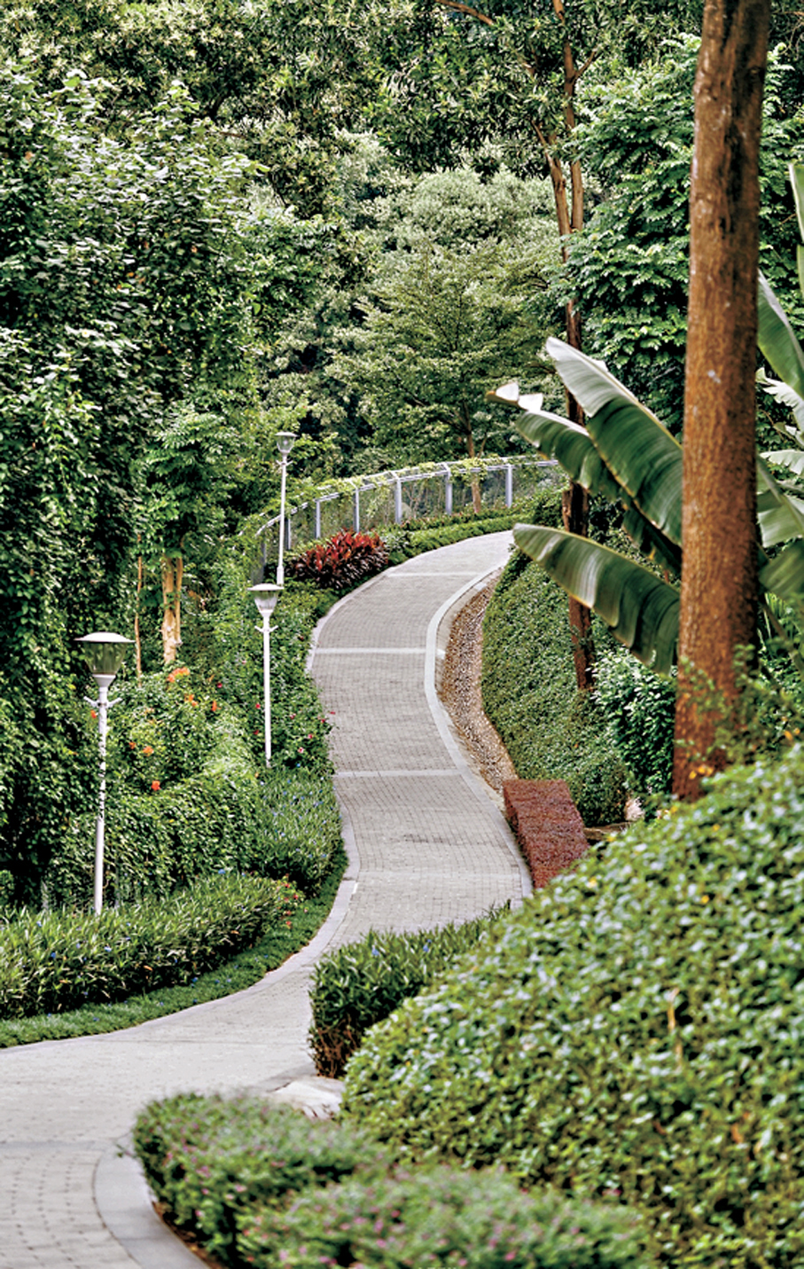 ●雅寶公園環山綠道  網絡圖片