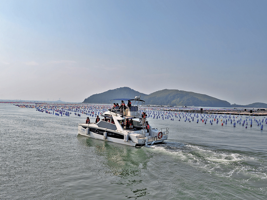 ●在岐下村碼頭乘搭官方快艇才能真正登島。