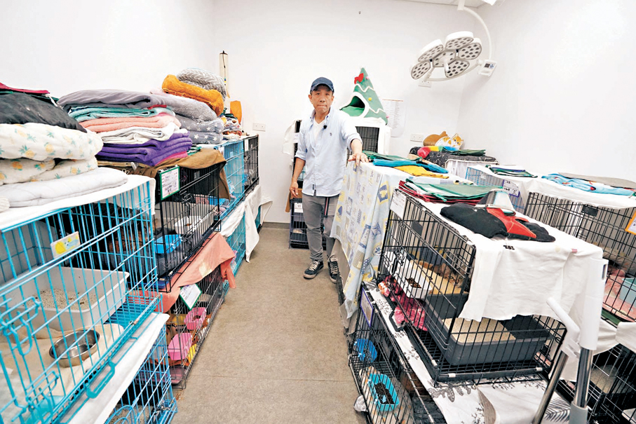 毛守獸醫中心有動物界「戰地醫院」之稱。