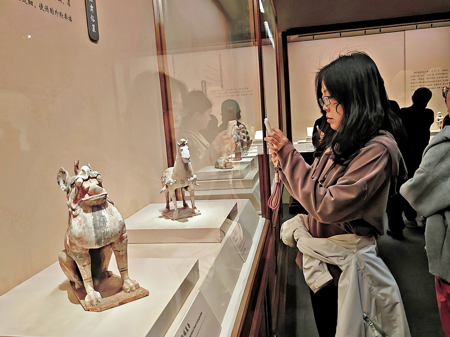 ●展覽現場