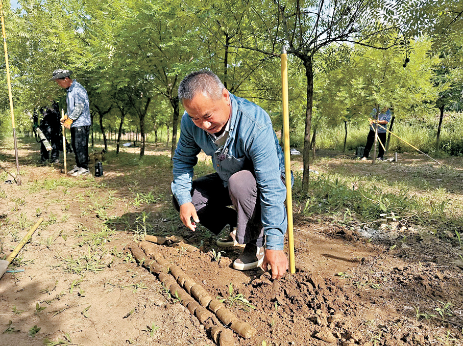 ●孫亮申在山東臨淄桐林遺址考古現場進行勘探工作。 香港文匯報實習記者張睿 攝