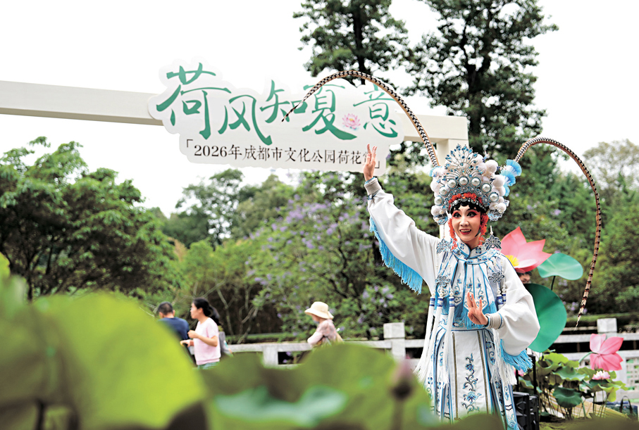 ●以「荷風知夏意」為主題，全新引入45種獲獎精品荷花，打造夏日視覺盛宴。