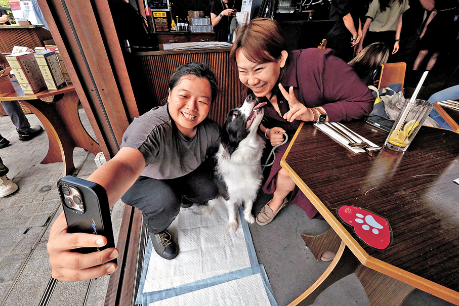 ●狗隻與主人在餐廳內親密、開心互動。香港文匯報記者涂穴  攝