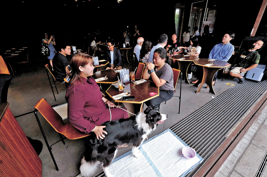 ●西九文化區獲批食肆內，顧客帶同狗隻入座。 香港文匯報記者涂穴  攝