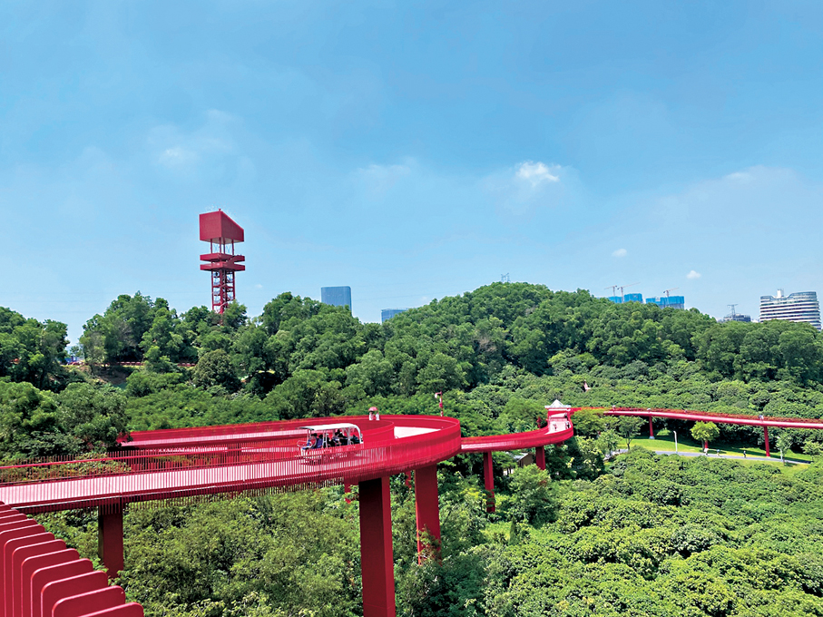 ●光明親子自然地標「虹橋公園」