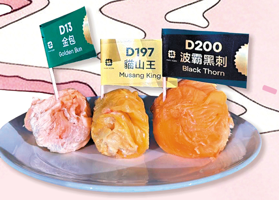 三款榴槤果肉拼盤