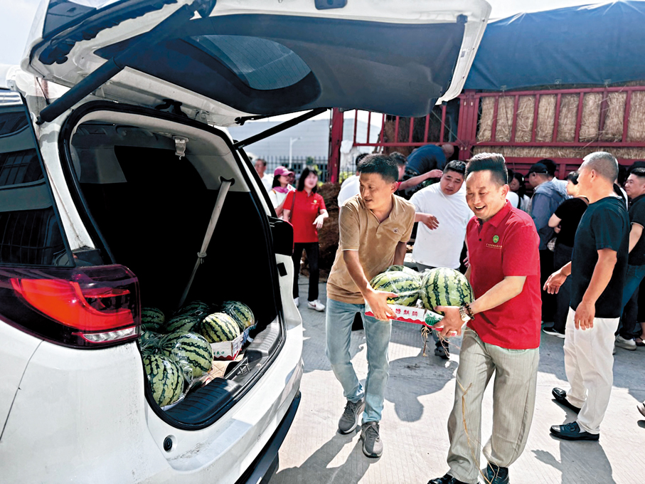 ●在廣州的河南老鄉們開着車來裝西瓜。