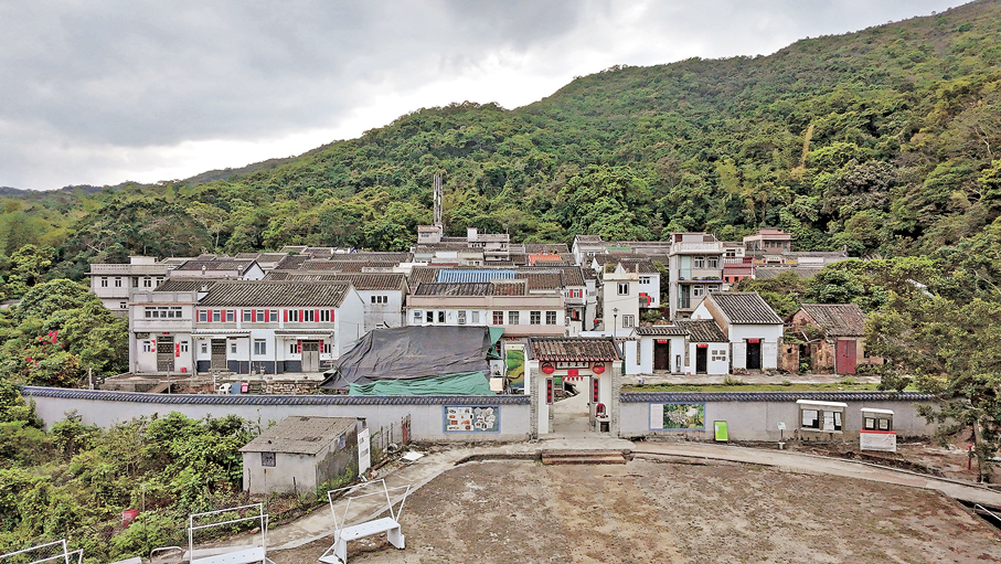 ●荔枝窩保留客家村落格局、風水林和豐富的自然生態。 香港文匯報記者北山彥  攝