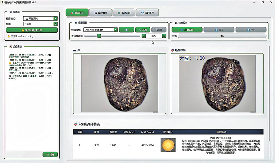 ●「人工智能（AI）考古系統」能模仿考古植物學專家辨識種子，分類準確度逾九成。 嶺大供圖