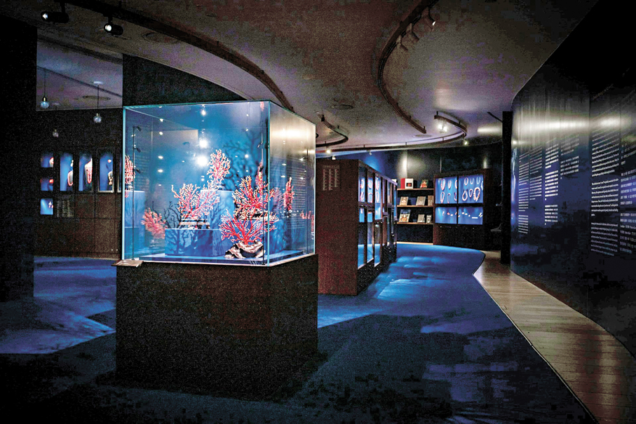 ●展覽現場   主辦方供圖