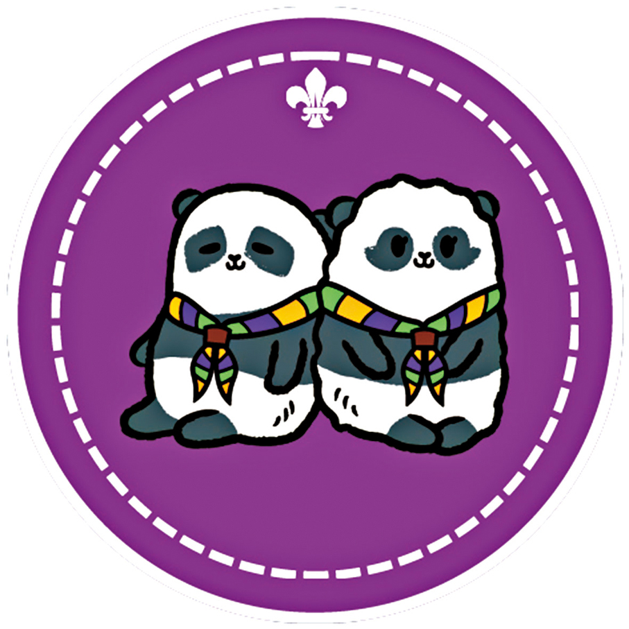 ●生態保育先鋒章。香港童軍總會供圖
