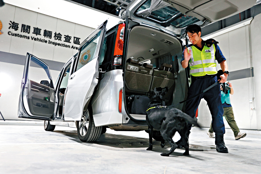 ●海關人員在搜查犬協助下於車尾箱發現可疑行李箱。香港文匯報記者萬霜靈 攝