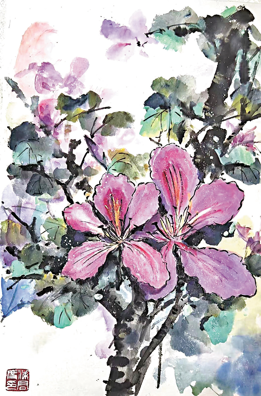 ●筆者新作三尺彩墨畫「紫荊花」。  作者供圖