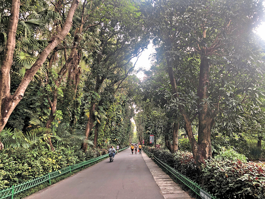 ●踏入植物園，草木清香撲面而來。