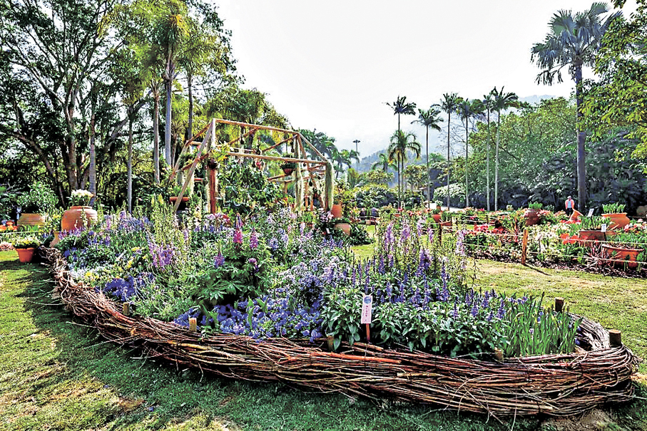 ●在深圳仙湖植物園，四季遊園皆有新意。