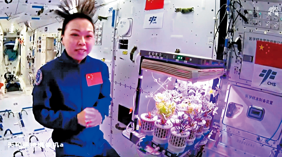 ●黎家盈介紹「太空菜園」。 視頻截圖