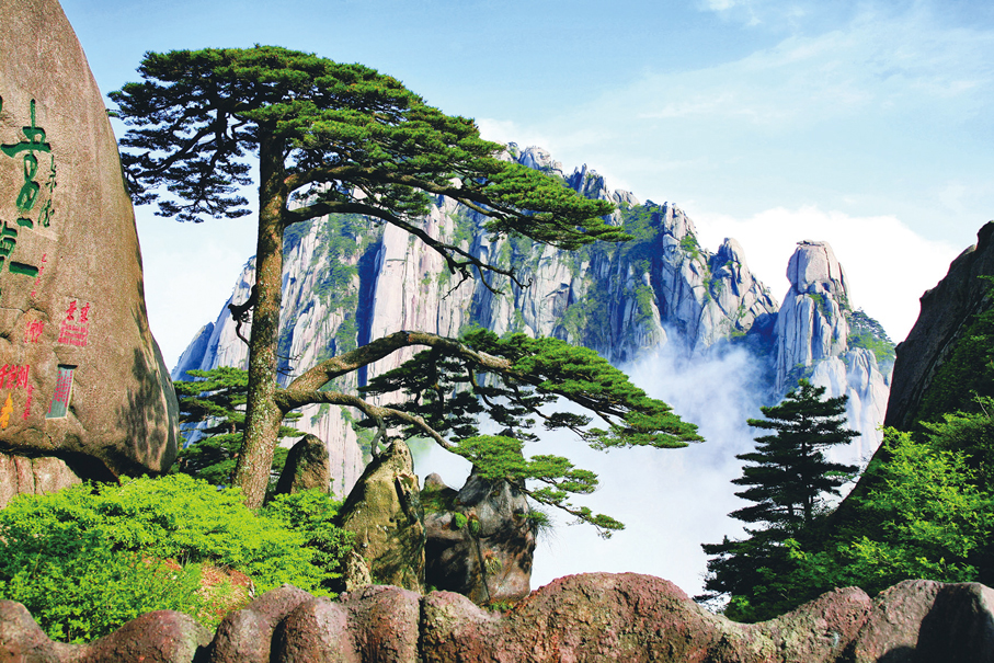 ●黃山迎客松。