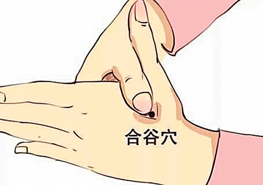 合谷穴