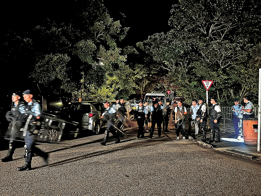 ●警方聯同漁護署人員本月20日深夜在元朗壆圍南路案發現場附近捕捉無人看管狗隻。 資料圖片