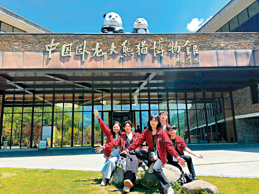 ●高中組冠軍屯門官立中學以「走古人路，品文明韻」為題設計，以「熊貓之城」成都為目的地。圖為學生參觀大熊貓博物館。 教育局供圖