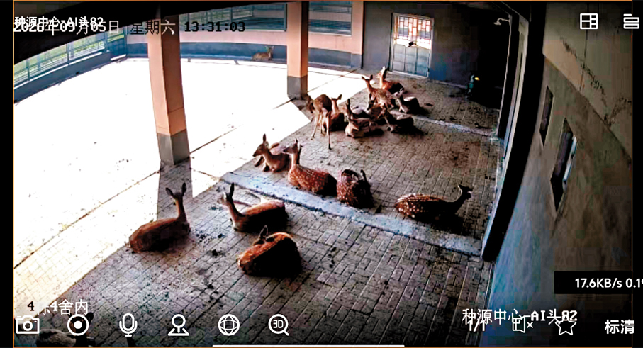 種源中心AI鏡頭下的監測畫面。