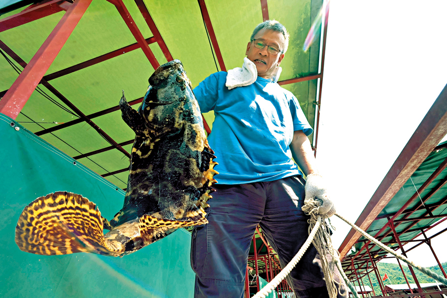 ●參與者最看重現場釣魚、即釣即煮的獨特體驗。 香港文匯報記者涂穴  攝
