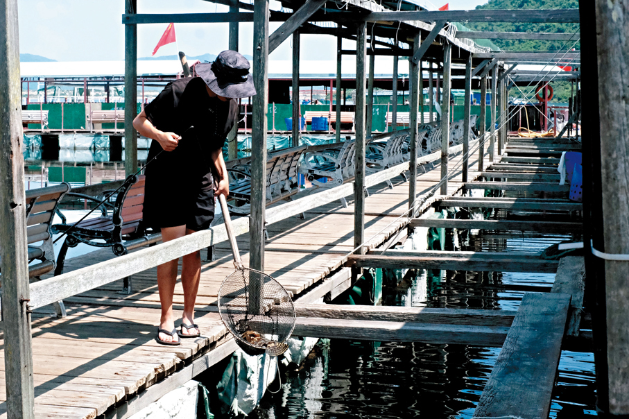 ●去年3月才接觸釣魚的李先生，現已成為魚排常客。 香港文匯報記者涂穴  攝