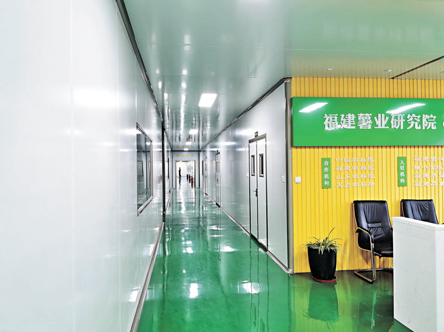 ●被譽為全國番薯產業「最強大腦」的福建薯業研究院。
