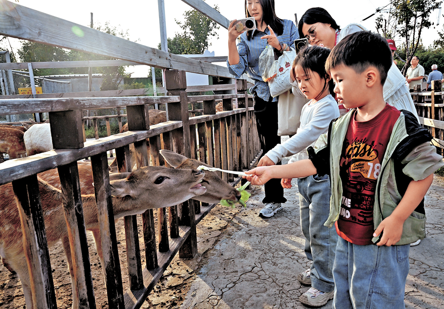 ●10月2日，在河南省沁陽市，小朋友和動物園的動物互動。 新華社