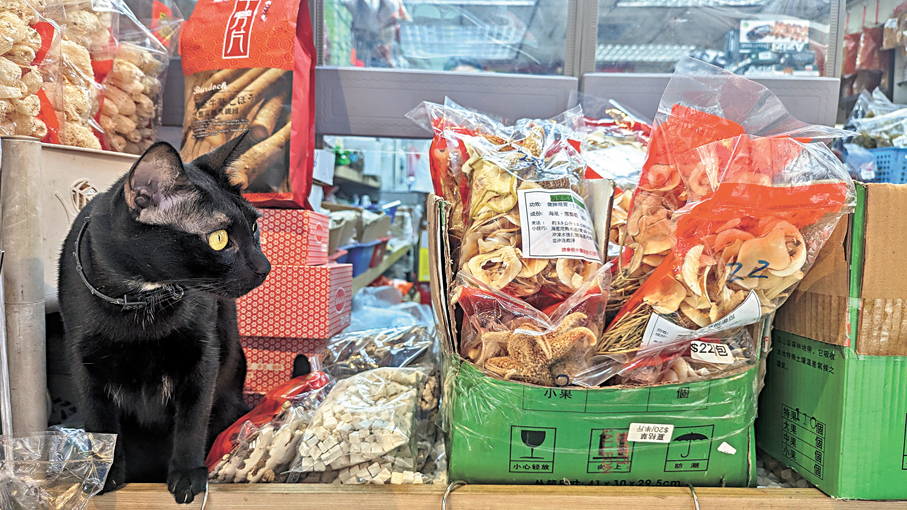 ●有些海味店會自製湯包，讓都市人簡單快速煲湯，嘗一口傳統風味。