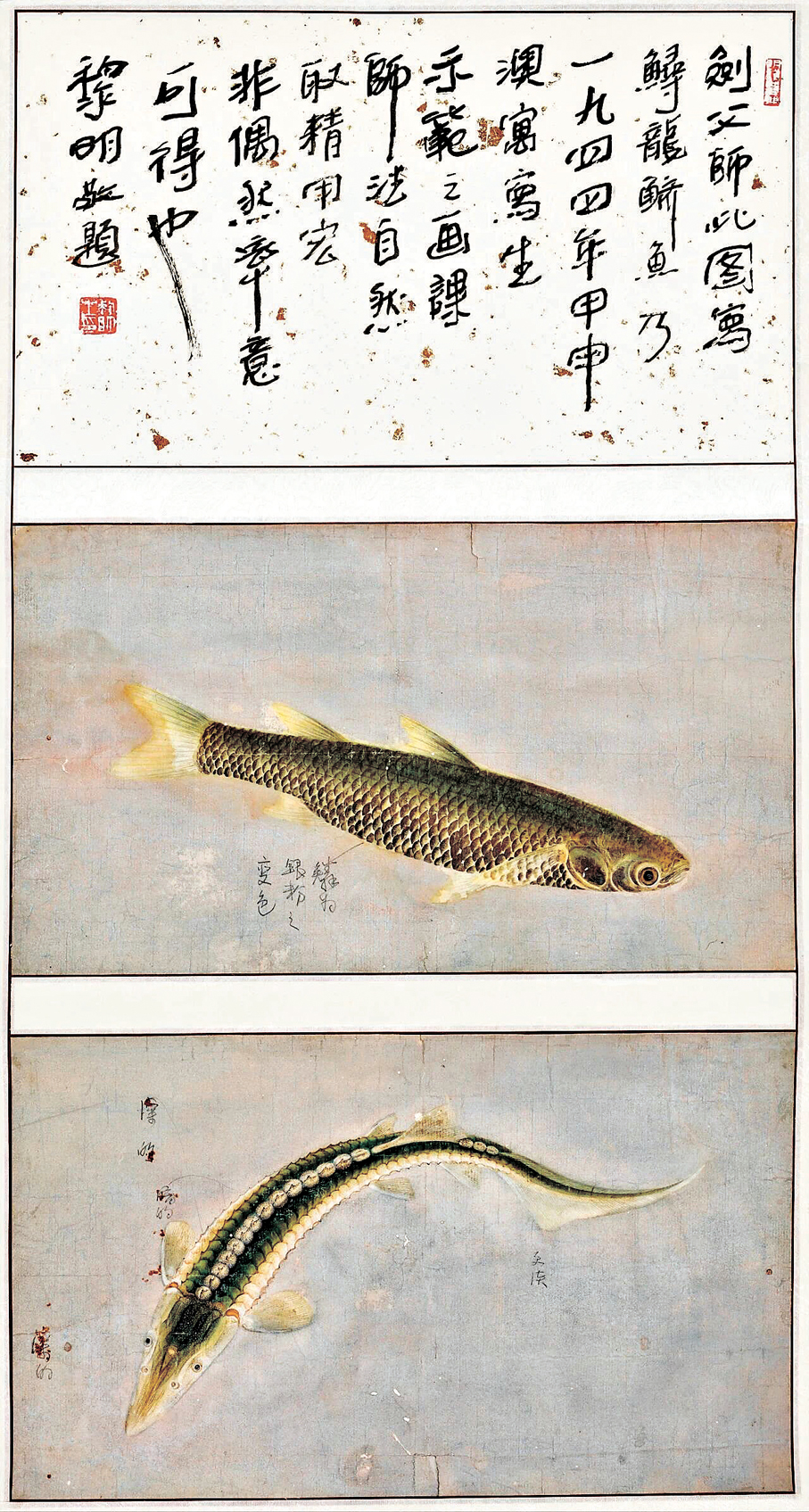 ●《躋魚 鱘龍(澳門寫生)》