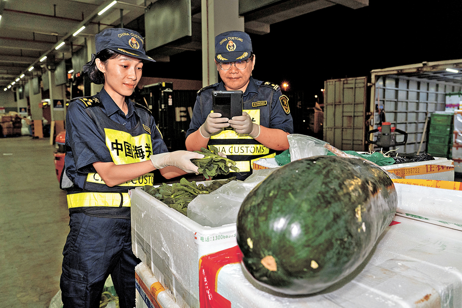 ●今年前三季度，經港珠澳大橋進口的乾鮮瓜果、食用水產品合計增長5倍。圖為港珠澳大橋海關關員對新鮮蔬菜開展查驗。 資料圖片