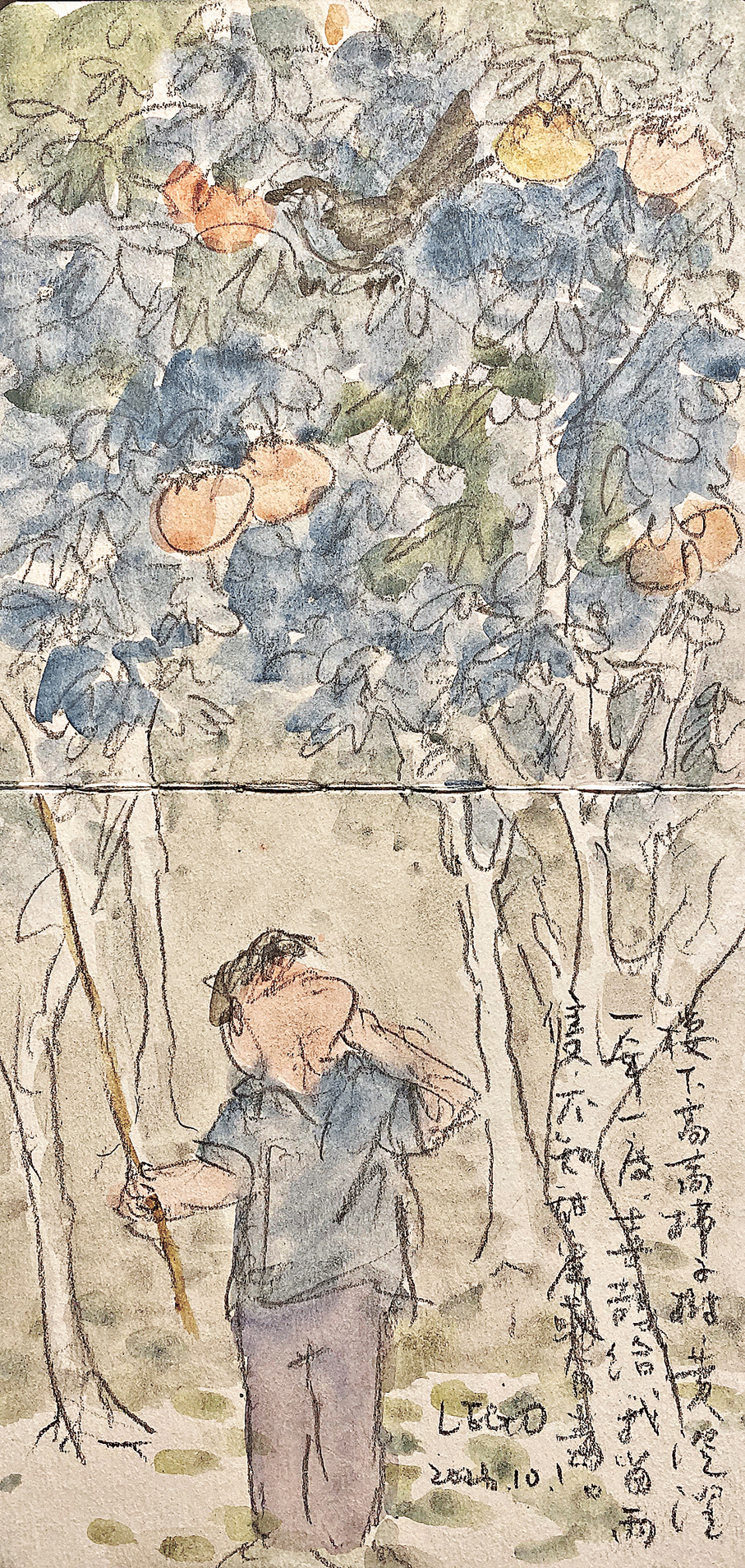 ●速寫柿子樹下的少年。 繪畫︰梁賀
