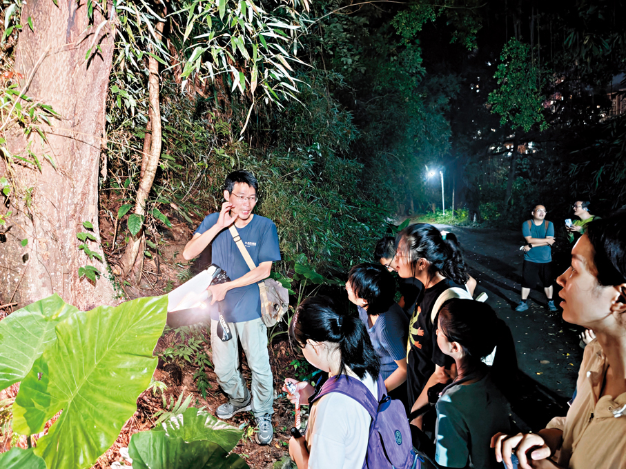 在夏季，游弋常常帶着小朋友們到野外夜觀昆蟲。