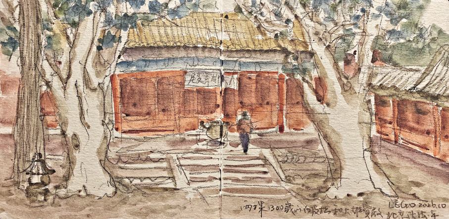 ●北京法海寺大雄寶殿外庭院中1,300多歲的白皮松。繪畫︰梁賀