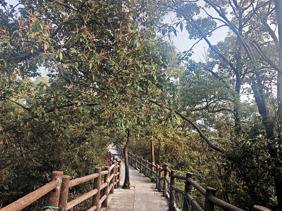 ●龍王島是登山好去處。