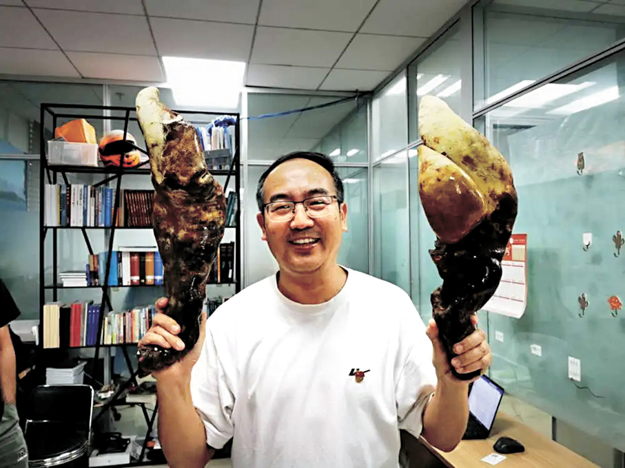 ●科研人員手持霸王滇菌標本。 新華社